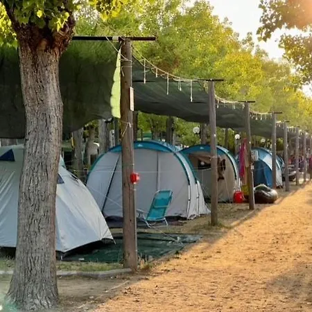 Ola Camping Rent *